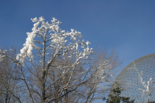 IMG_1120.JPG