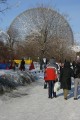 IMG_1116.JPG