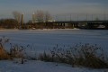 IMG_1139.JPG