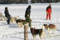 IMG_1175.JPG