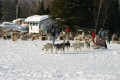 IMG_1182.JPG