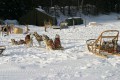 IMG_1183.JPG