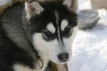 IMG_1193.JPG