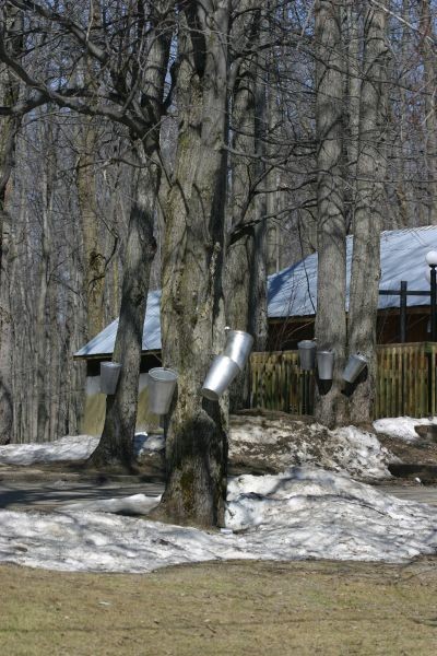 IMG_1868.JPG