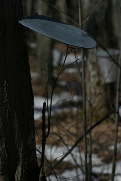IMG_1939.JPG