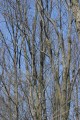 IMG_1863.JPG
