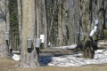 IMG_1867.JPG