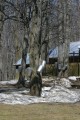 IMG_1868.JPG