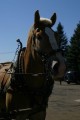 IMG_1921.JPG