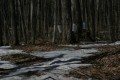 IMG_1936.JPG