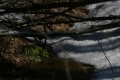 IMG_1937.JPG