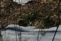 IMG_1940.JPG