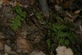 IMG_1941.JPG