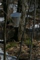 IMG_1942.JPG