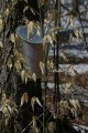 IMG_1943.JPG