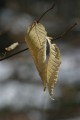 IMG_1944.JPG