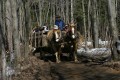 IMG_1949.JPG