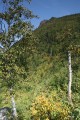 IMG_3325.JPG