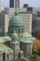 _MG_8223_1.JPG